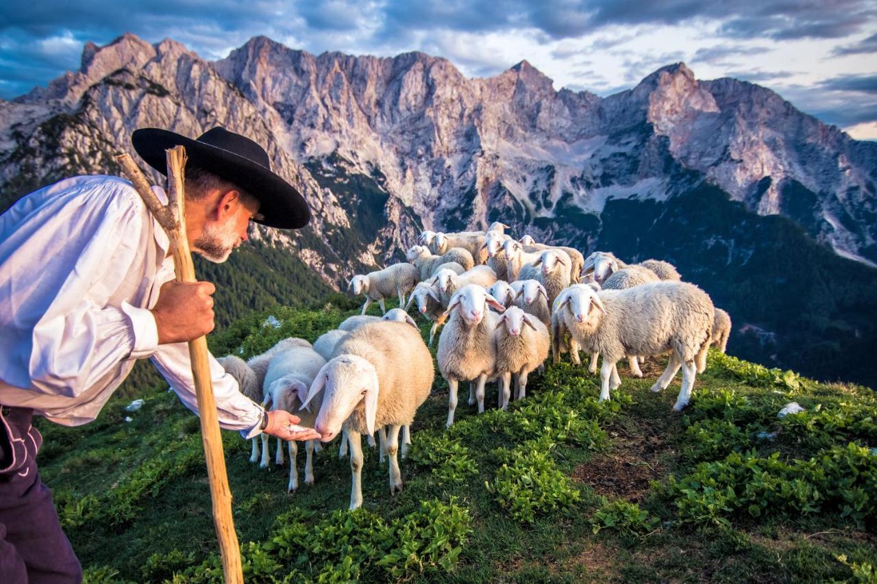 Вілла Tourist Farm Senkova Domacija Згорнє-Єзерсько Екстер'єр фото