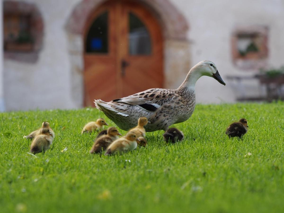 Вілла Tourist Farm Senkova Domacija Згорнє-Єзерсько Екстер'єр фото
